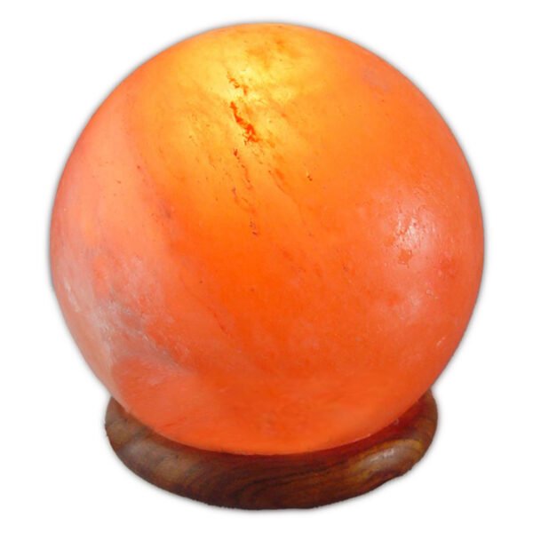 <span style="color: #1e1810; font-size: 20px; font-weight: bold;">Globe</span> <span style="color: #777777; font-size: 14px;">3.5 kg, 5.5"x5.5"x6"</span> - Image 3