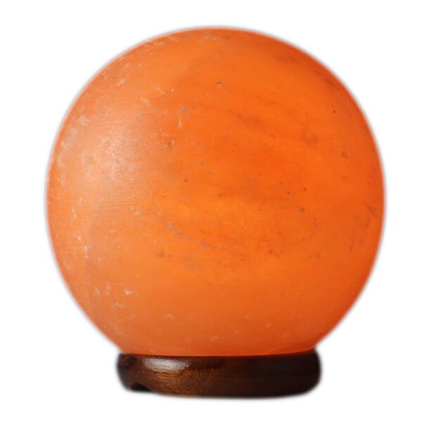 <span style="color: #1e1810; font-size: 20px; font-weight: bold;">Globe</span> <span style="color: #777777; font-size: 14px;">3.5 kg, 5.5"x5.5"x6"</span> - Image 2