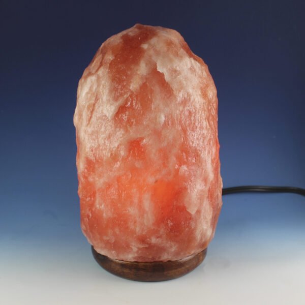 <span style="color: #1e1810; font-size: 20px; font-weight: bold;">Aman</span> <span style="color: #777777; font-size: 14px;">Natural Shape 2.5 kg</span> - Image 2