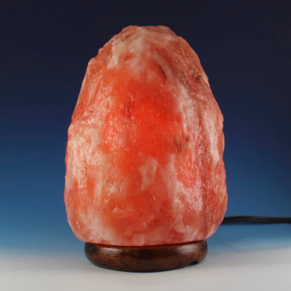 <span style="color: #1e1810; font-size: 20px; font-weight: bold;">Noor</span> <span style="color: #777777; font-size: 14px;">Natural Shape 3.5 kg</span> - Image 3