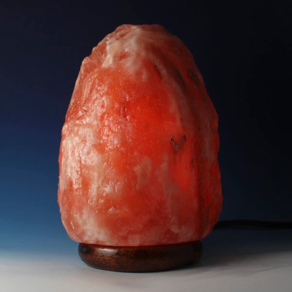 <span style="color: #1e1810; font-size: 20px; font-weight: bold;">Noor</span> <span style="color: #777777; font-size: 14px;">Natural Shape 3.5 kg</span> - Image 4