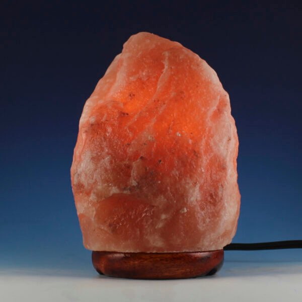 <span style="color: #1e1810; font-size: 20px; font-weight: bold;">Joy</span> <span style="color: #777777; font-size: 14px;">Natural Shape 1.5 kg</span> - Image 3