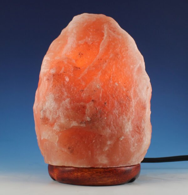 <span style="color: #1e1810; font-size: 20px; font-weight: bold;">Joy</span> <span style="color: #777777; font-size: 14px;">Natural Shape 1.5 kg</span> - Image 2