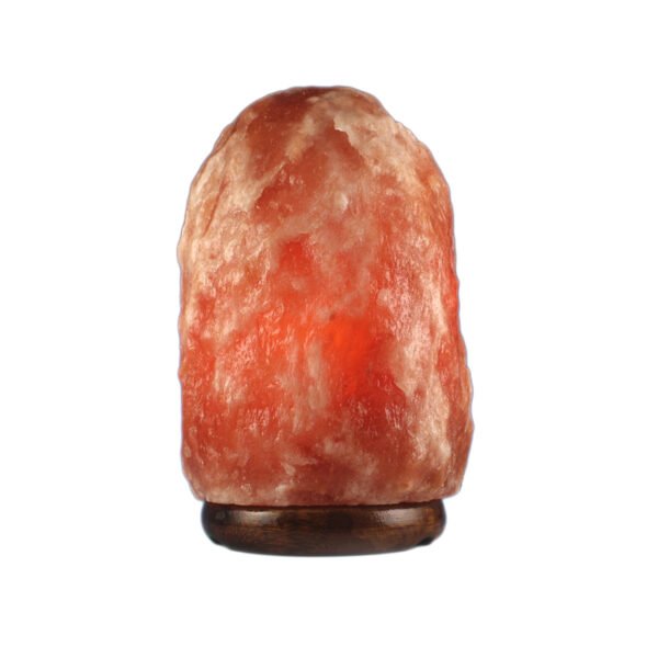 <span style="color: #1e1810; font-size: 20px; font-weight: bold;">Aman</span> <span style="color: #777777; font-size: 14px;">Natural Shape 2.5 kg</span>