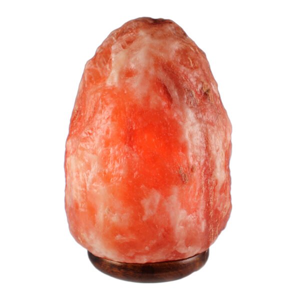 <span style="color: #1e1810; font-size: 20px; font-weight: bold;">Noor</span> <span style="color: #777777; font-size: 14px;">Natural Shape 3.5 kg</span>
