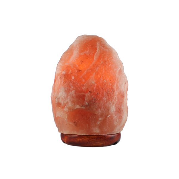<span style="color: #1e1810; font-size: 20px; font-weight: bold;">Joy</span> <span style="color: #777777; font-size: 14px;">Natural Shape 1.5 kg</span>
