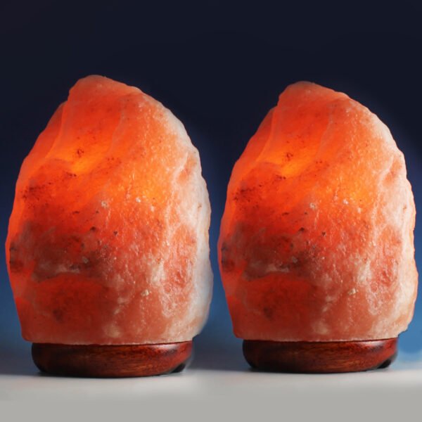 <span style="color: #1e1810; font-size: 20px; font-weight: bold;">Joy</span> <span style="color: #777777; font-size: 14px;">Natural Shape 1.5 kg - Pack of 2</span> - Image 3