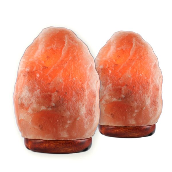 <span style="color: #1e1810; font-size: 20px; font-weight: bold;">Joy</span> <span style="color: #777777; font-size: 14px;">Natural Shape 1.5 kg - Pack of 2</span>