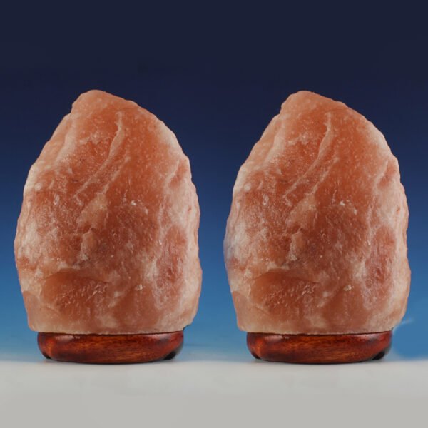 <span style="color: #1e1810; font-size: 20px; font-weight: bold;">Joy</span> <span style="color: #777777; font-size: 14px;">Natural Shape 1.5 kg - Pack of 2</span> - Image 2